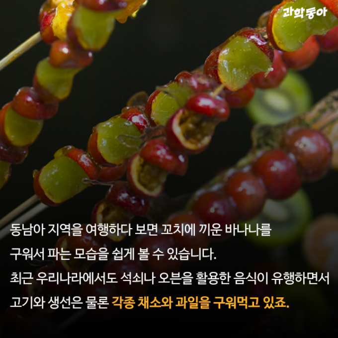 (주)동아사이언스 제공